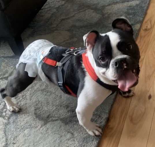 Photo of Sawyer