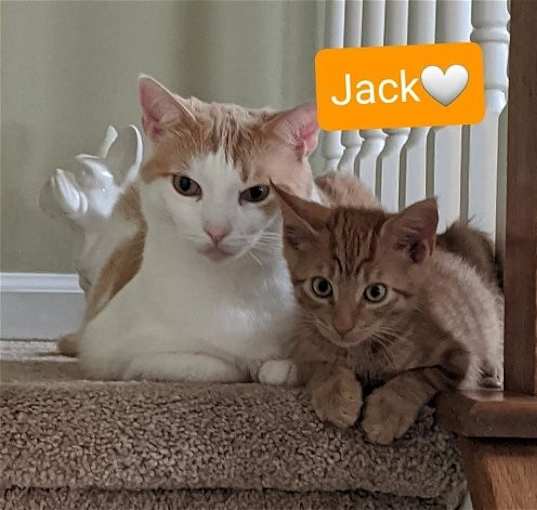 Photo of Jack