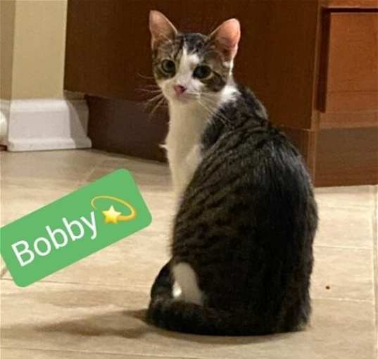 Photo of Bobby