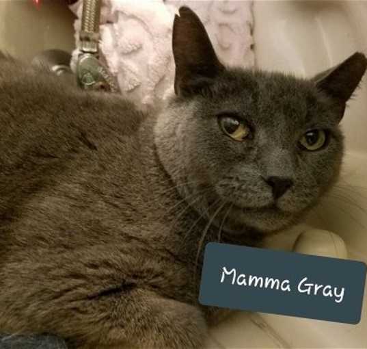 Photo of Mamma Gray
