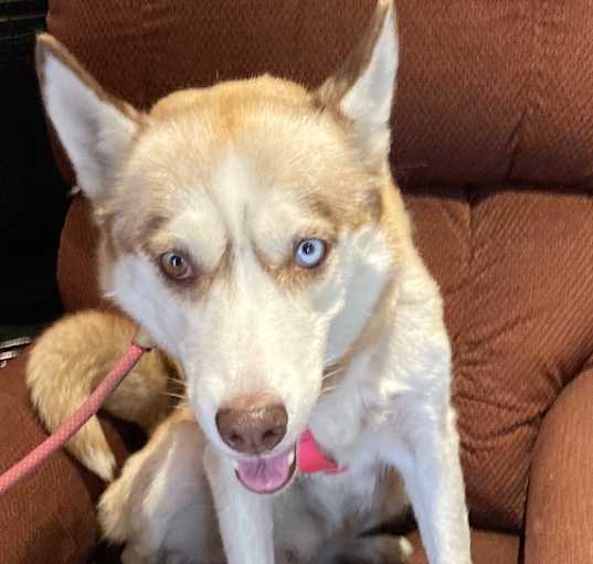 Photo of Roxy