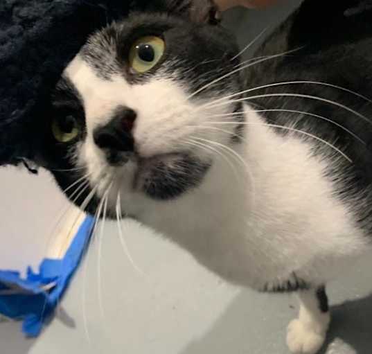 Photo of Spaghetti