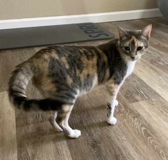 Photo of Lizzie