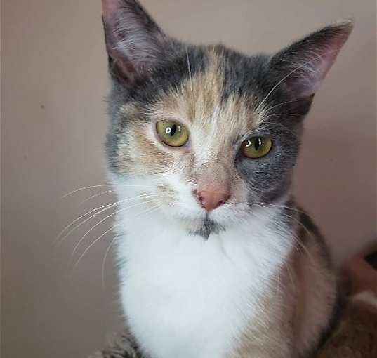 Photo of Lilee