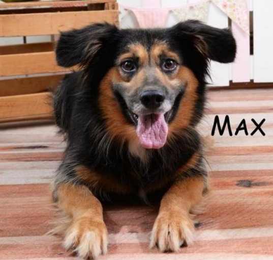 Photo of Max