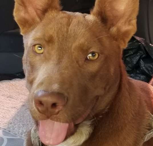 Photo of Logan Red