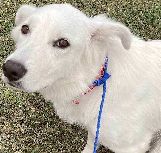 Photo of Addie