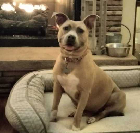 Photo of Bonnie