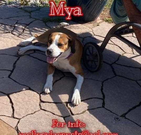 Photo of Mya