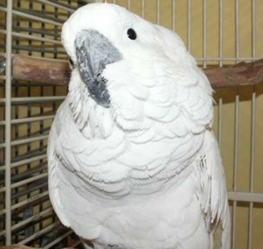 Photo of Gabby