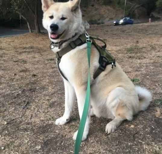 Photo of Hiro (Hiroshima)
