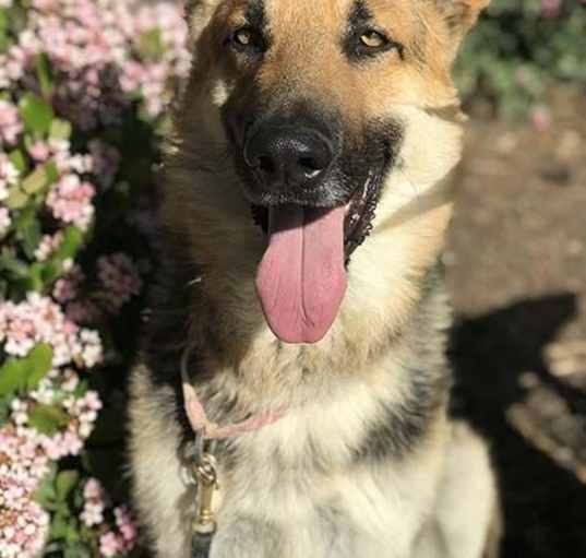 Photo of Ivan