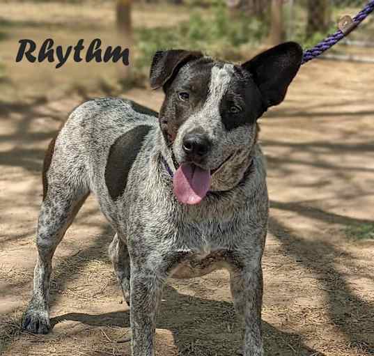 Photo of Rhythm