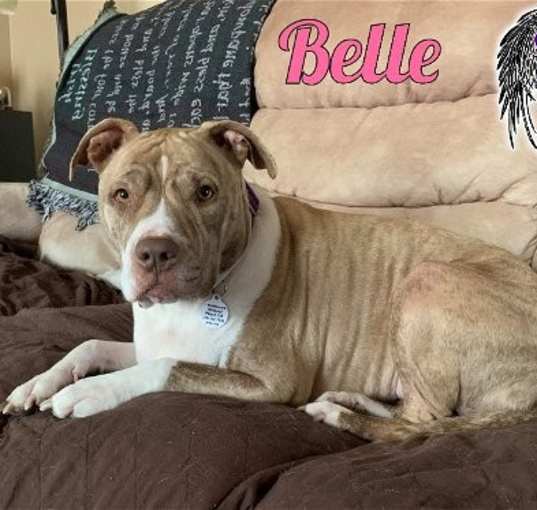 Photo of Belle