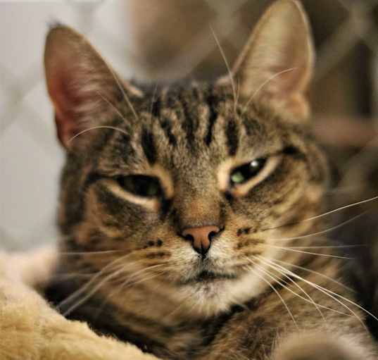 Photo of Delilah