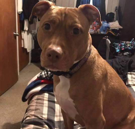 Photo of Shelby