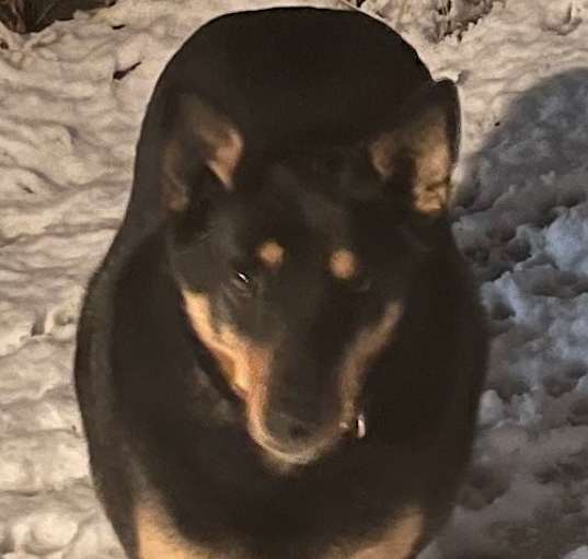 Photo of Thelma