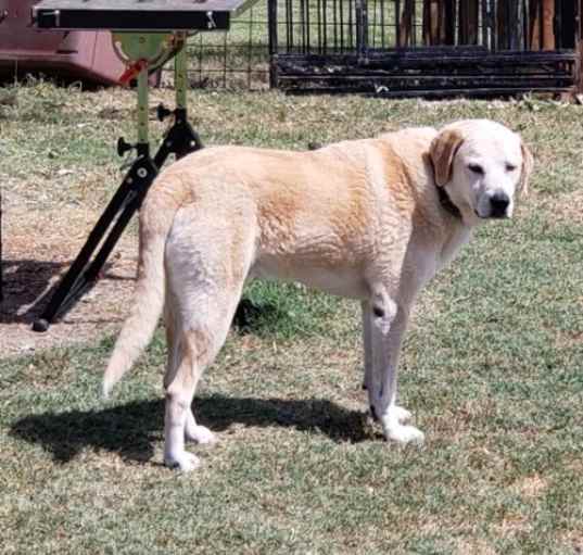 Photo of Doug