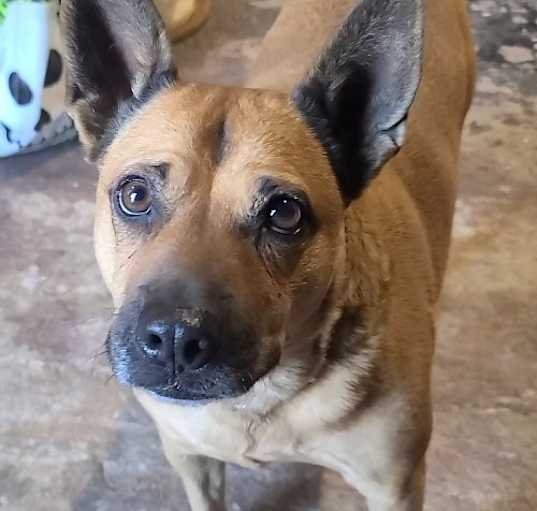 Photo of Shirley