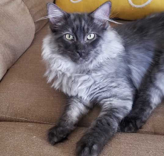 Photo of Mr. Fuzzy Wuzzy