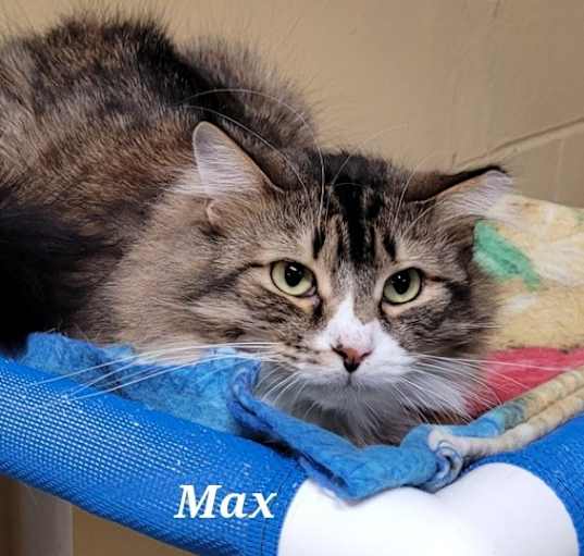 Photo of Max