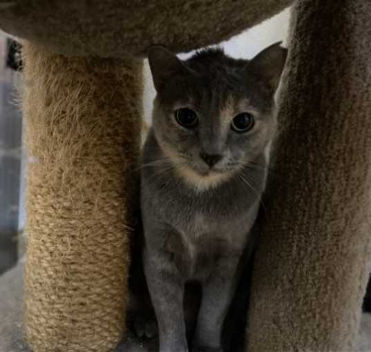 Photo of Pearl