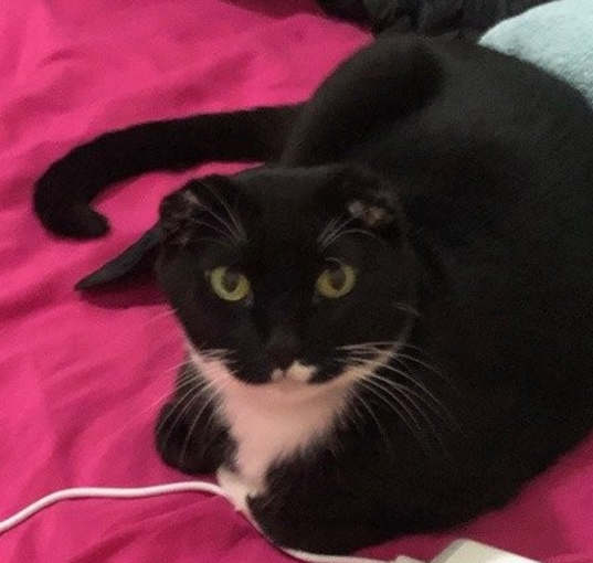 Photo of Luna