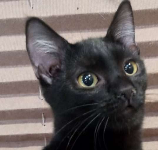 Photo of Sasha
