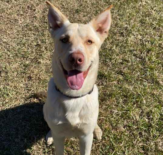 Photo of Thor
