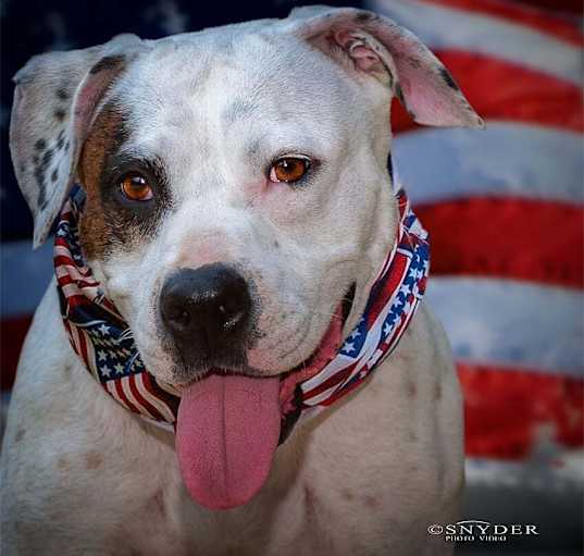 Photo of Dottie