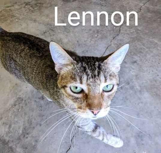 Photo of Lennon