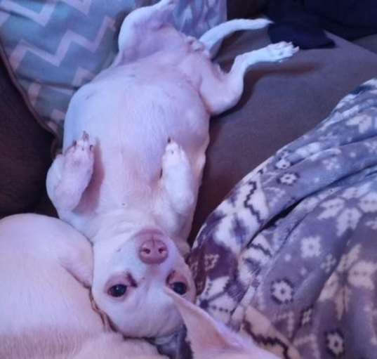 Photo of Millie