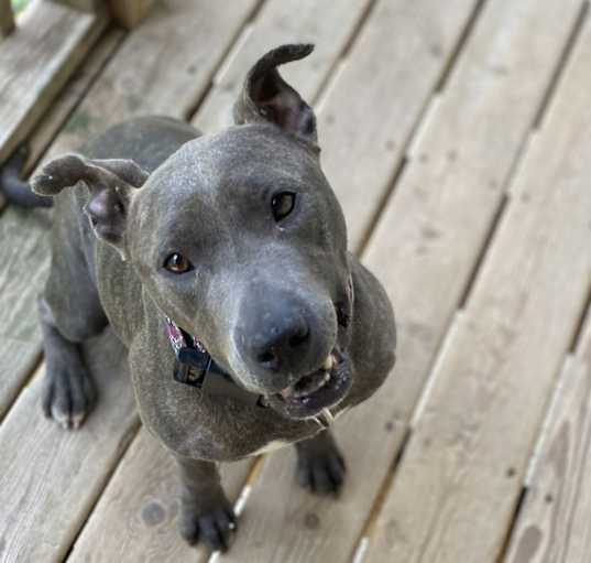 Photo of Teela
