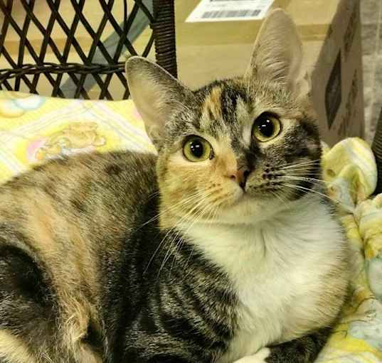 Photo of Fiona