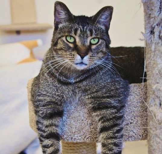 Photo of Bingo