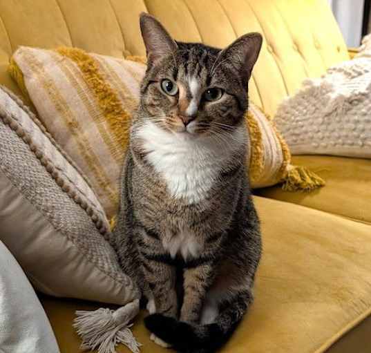 Photo of Gamora