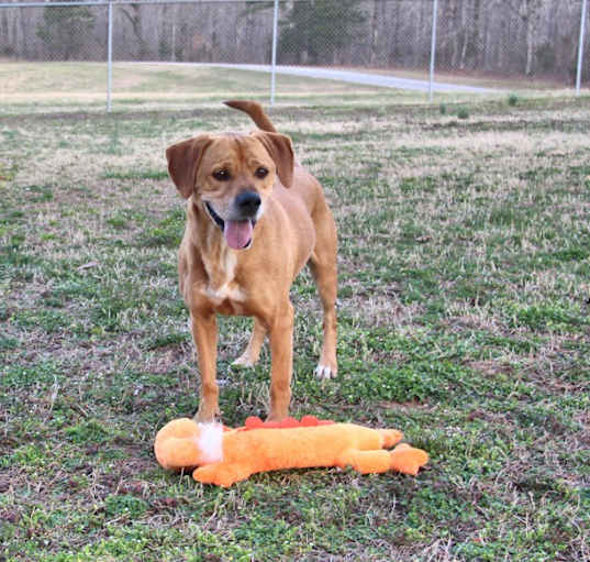 Photo of Oscar