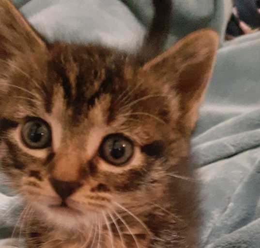 Photo of Dababy