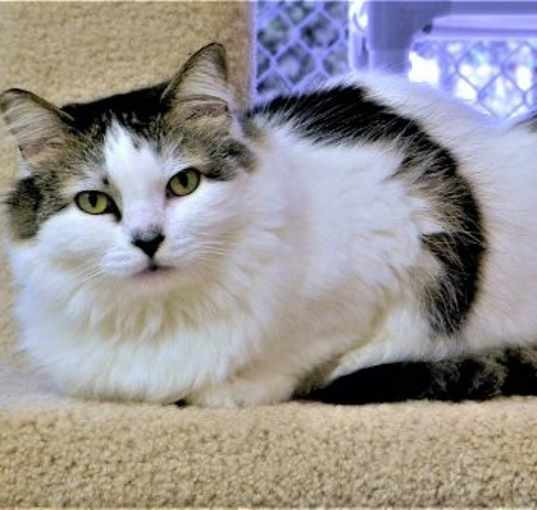 Photo of Annie