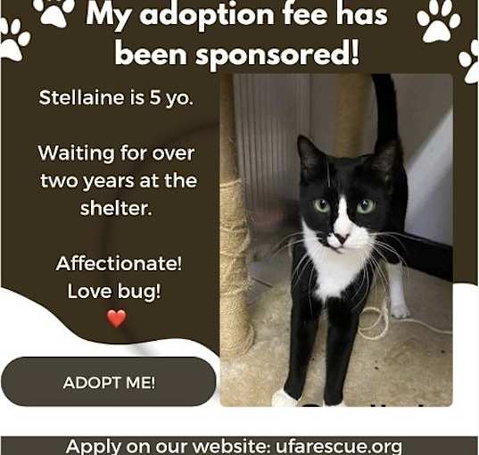 Photo of Stellaine