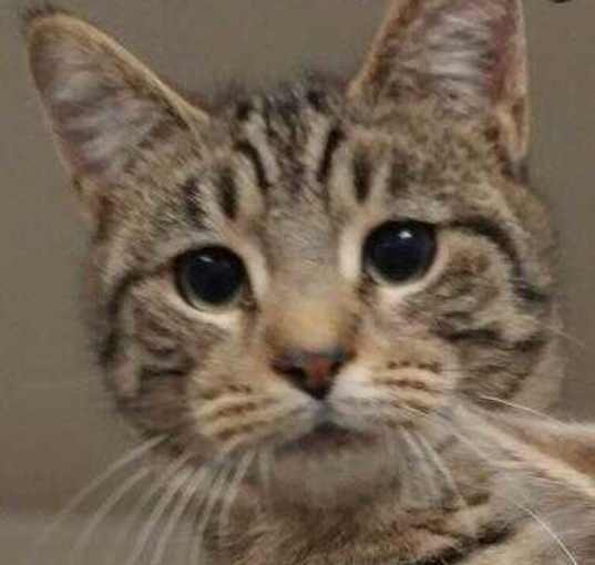 Photo of Alvin