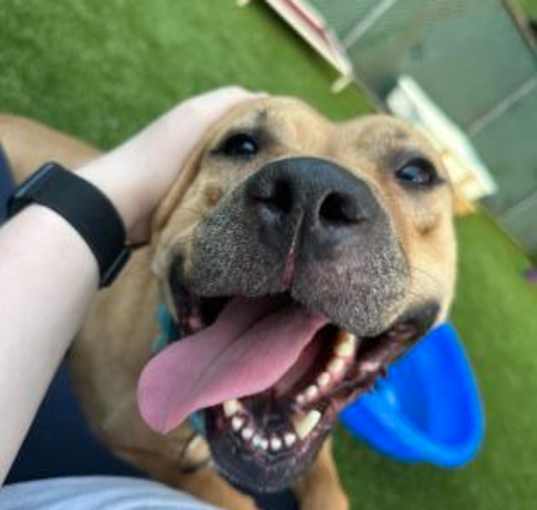Photo of Wally