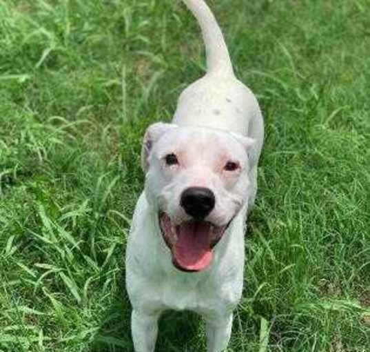 Photo of Buster