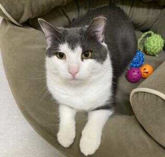 Photo of Luke Skywhisker