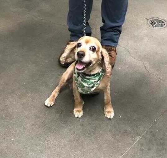 Photo of Paco