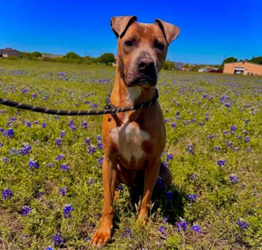 Photo of PETEY