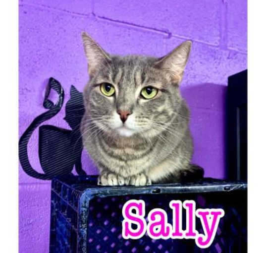 Photo of SALLY