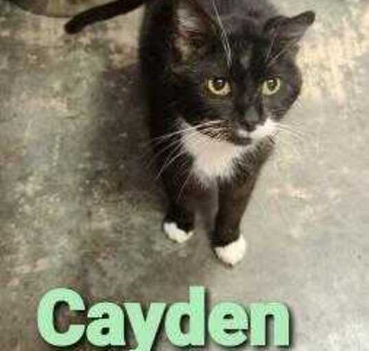 Photo of Cayden