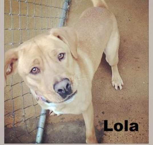 Photo of Lola