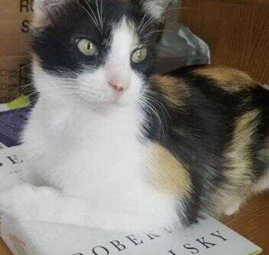Photo of Princess Patty